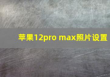 苹果12pro max照片设置